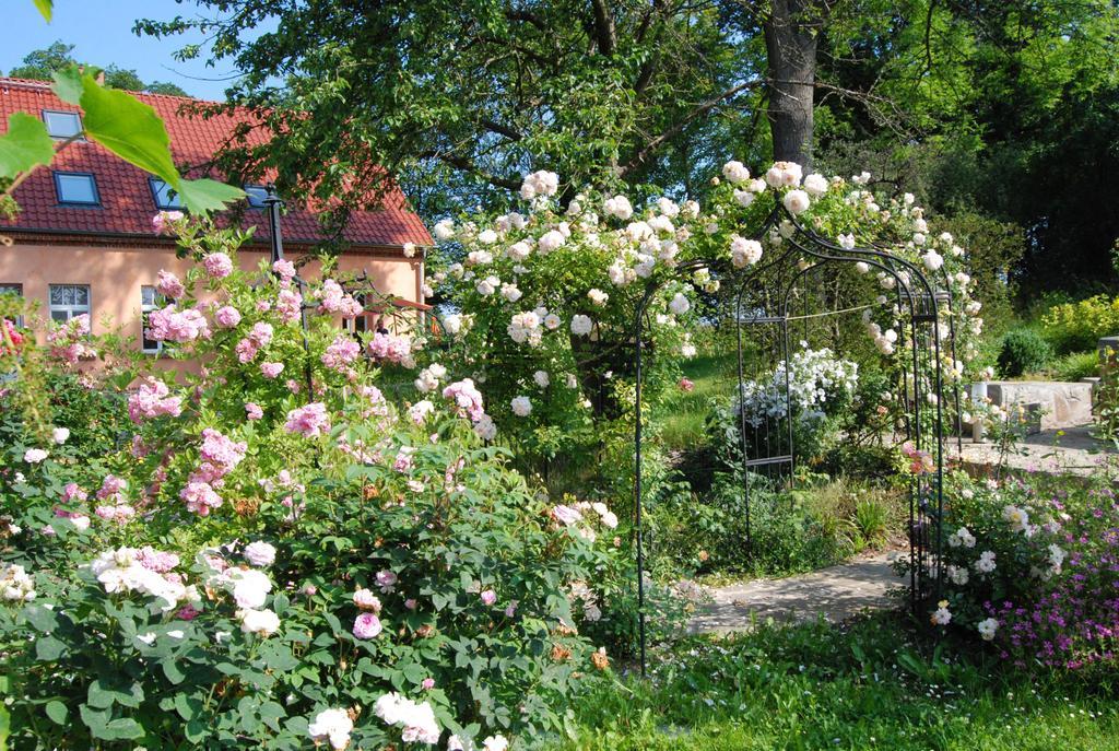 Feriendomizil Alter Garten Temmen-Ringenwalde 外观 照片